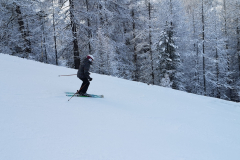 IMG_20240211_093101_2