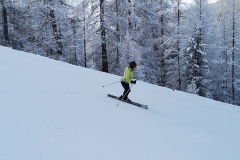 IMG_20240211_093110_1