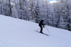 IMG_20240211_093119_3